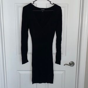 Express Sweater Dress